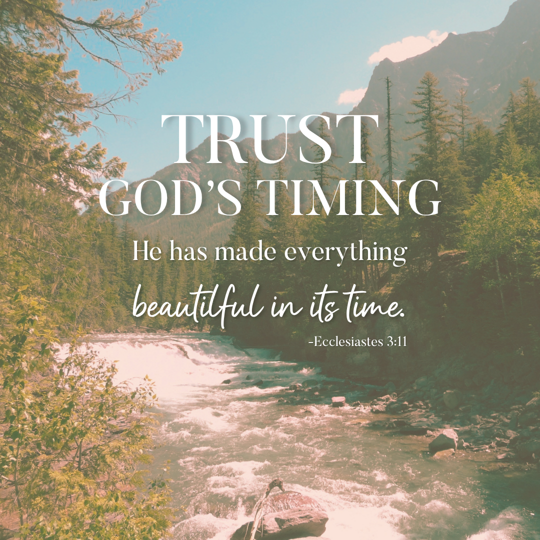 Trust God's Timing - He has made everything beautiful in it's time - Ecclesiastes 3:11
